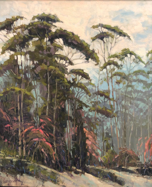 Eucalyptus and Bougainvillea